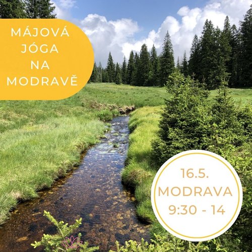 Banner fotka modravského potoka