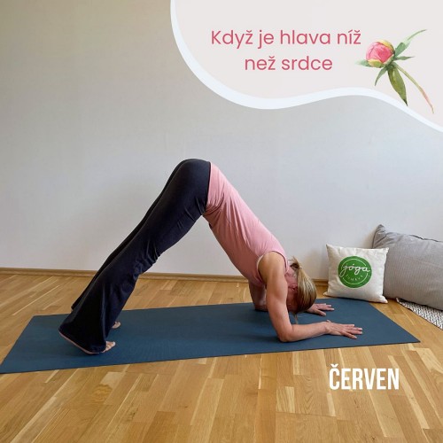 Žena v jógové pozici Delfín