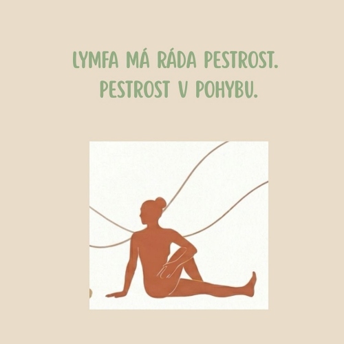 2026-09-lymfa-tema1