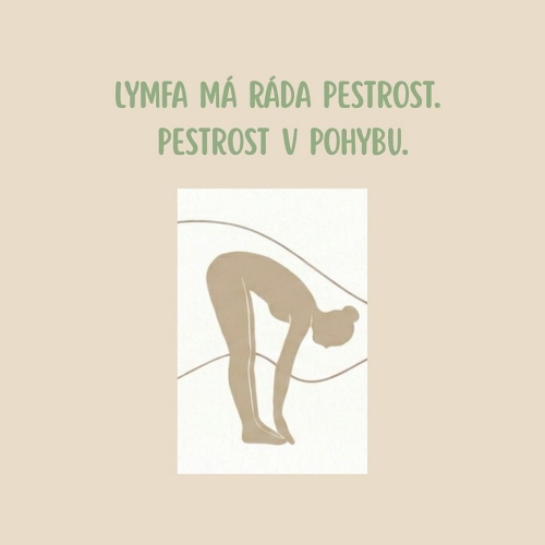 2026-09-lymfa-tema3