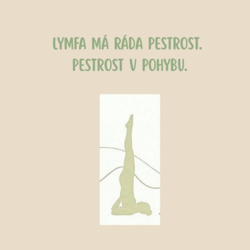 2026-09-lymfa-tema5